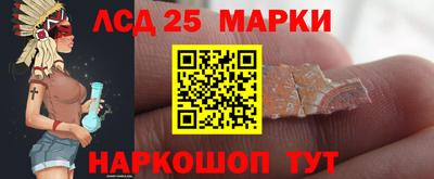 спиды Гатчина
