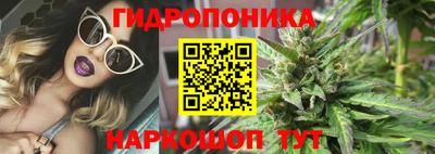 экстази Гай