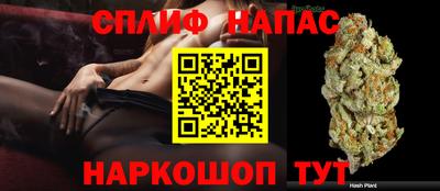 экстази Гай