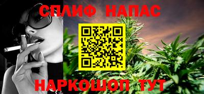 спиды Гатчина