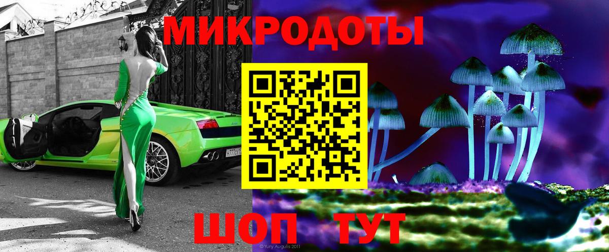 Псилоцибиновые грибы Cubensis  купить наркоту  Сосновый Бор  Галлюциногенные грибы прущие грибы 